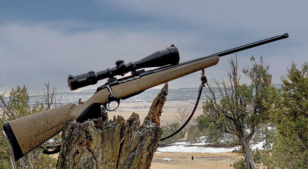 A FDE Tikka T3X Lite placed on a broken tree trunk to enhance aesthetics